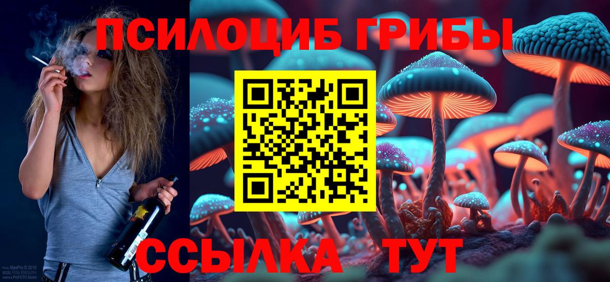 купить   Галлюциногенные грибы GOLDEN TEACHER  Вход с VPN  Галлюциногенные грибы мухоморы  Ногинск 